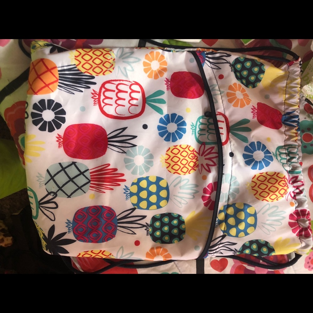 Pineapple Cinch Sack